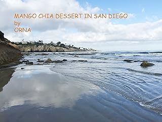 Mango Chia Dessert in San Diego by ORNA